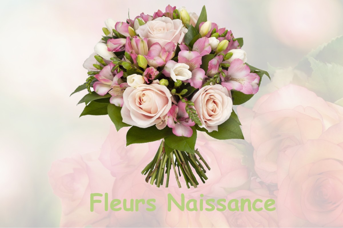 fleurs naissance CERISY-LA-SALLE